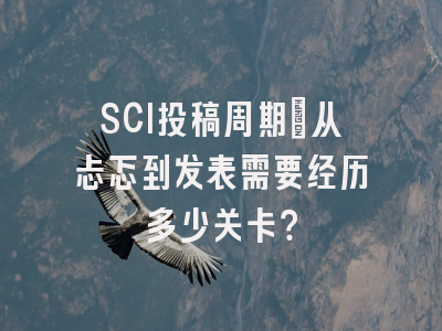 SCI投稿周期：从忐忑到发表需要经历多少关卡？