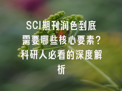 SCI期刊润色到底需要哪些核心要素？科研人必看的深度解析