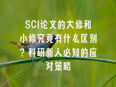 SCI论文的大修和小修究竟有什么区别？科研新人必知的应对策略