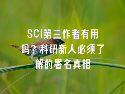 SCI第三作者有用吗？科研新人必须了解的署名真相