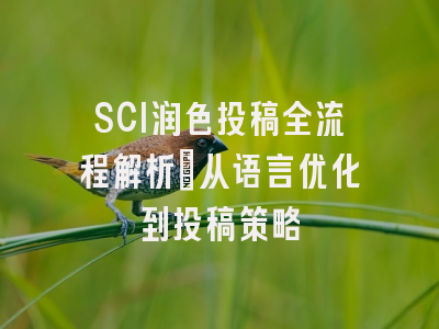 SCI润色投稿全流程解析：从语言优化到投稿策略