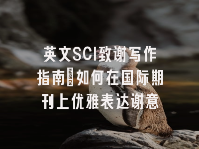 英文SCI致谢写作指南：如何在国际期刊上优雅表达谢意