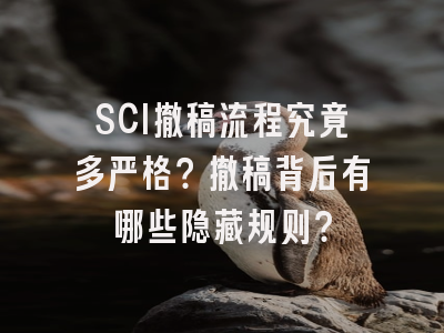 SCI撤稿流程究竟多严格？撤稿背后有哪些隐藏规则？