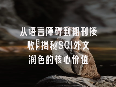 从语言障碍到期刊接收：揭秘SCI外文润色的核心价值
