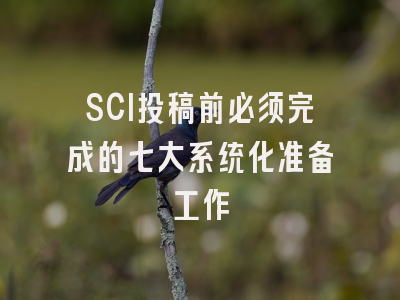 SCI投稿前必须完成的七大系统化准备工作