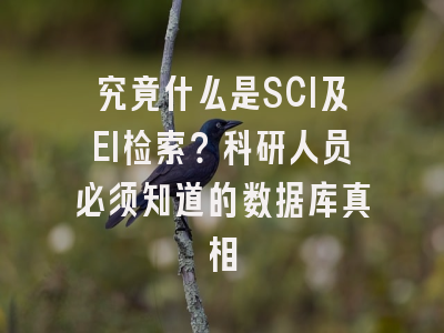 究竟什么是SCI及EI检索？科研人员必须知道的数据库真相