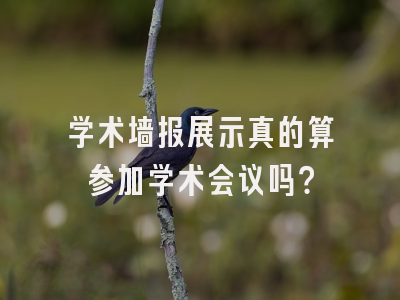学术墙报展示真的算参加学术会议吗？