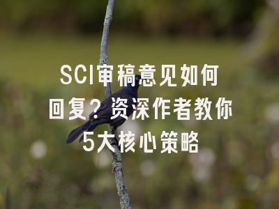 SCI审稿意见如何回复？资深作者教你5大核心策略
