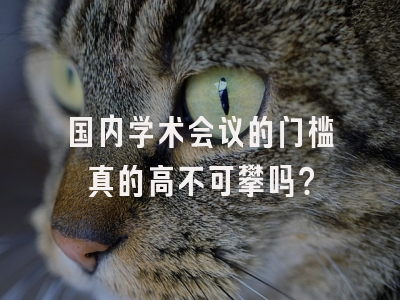 国内学术会议的门槛真的高不可攀吗？