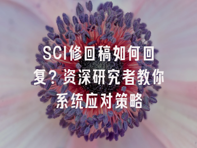 SCI修回稿如何回复？资深研究者教你系统应对策略