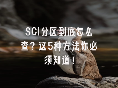 SCI分区到底怎么查？这5种方法你必须知道！