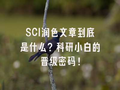 SCI润色文章到底是什么？科研小白的晋级密码！