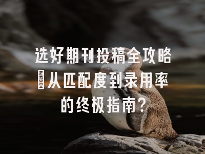 选好期刊投稿全攻略：从匹配度到录用率的终极指南？