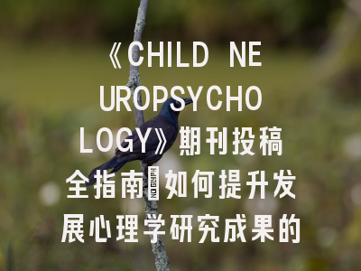 《CHILD NEUROPSYCHOLOGY》期刊投稿全指南：如何提升发展心理学研究成果的发表成功率？