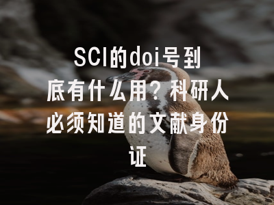 SCI的doi号到底有什么用？科研人必须知道的文献身份证
