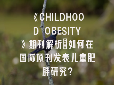 《CHILDHOOD OBESITY》期刊解析：如何在国际顶刊发表儿童肥胖研究？