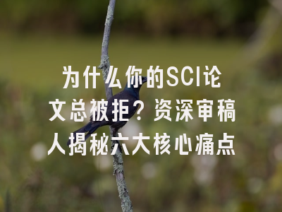 为什么你的SCI论文总被拒？资深审稿人揭秘六大核心痛点