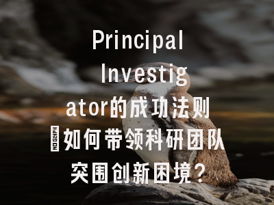 Principal Investigator的成功法则：如何带领科研团队突围创新困境？
