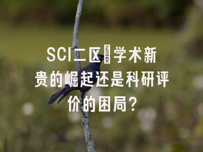 SCI二区：学术新贵的崛起还是科研评价的困局？