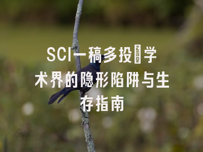 SCI一稿多投：学术界的隐形陷阱与生存指南