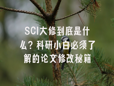 SCI大修到底是什么？科研小白必须了解的论文修改秘籍