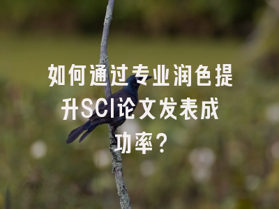 如何通过专业润色提升SCI论文发表成功率？
