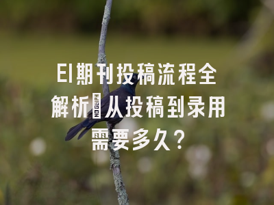 EI期刊投稿流程全解析：从投稿到录用需要多久？