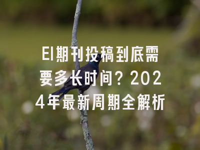 EI期刊投稿到底需要多长时间？2024年最新周期全解析