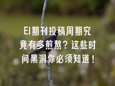 EI期刊投稿周期究竟有多煎熬？这些时间黑洞你必须知道！