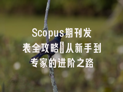 Scopus期刊发表全攻略：从新手到专家的进阶之路