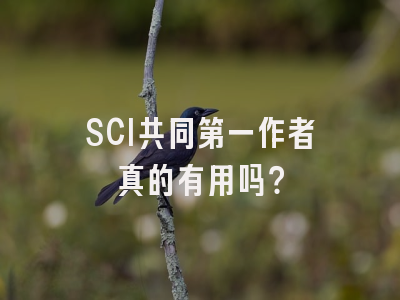 SCI共同第一作者真的有用吗？