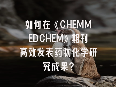 如何在《CHEMMEDCHEM》期刊高效发表药物化学研究成果？