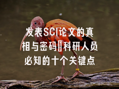 发表SCI论文的真相与密码：科研人员必知的十个关键点