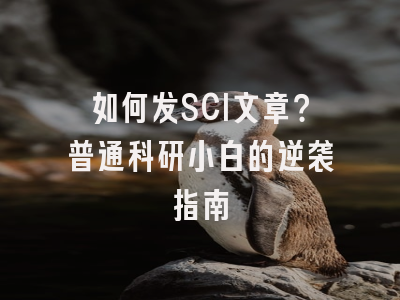 如何发SCI文章？普通科研小白的逆袭指南