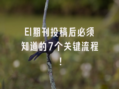 EI期刊投稿后必须知道的7个关键流程！
