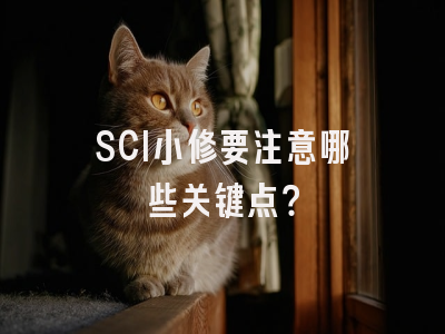 SCI小修要注意哪些关键点？