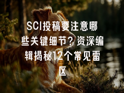 SCI投稿要注意哪些关键细节？资深编辑揭秘12个常见雷区