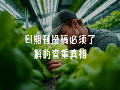 EI期刊投稿必须了解的查重真相