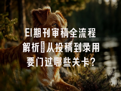 EI期刊审稿全流程解析：从投稿到录用要闯过哪些关卡？