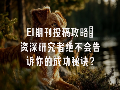 EI期刊投稿攻略：资深研究者绝不会告诉你的成功秘诀？