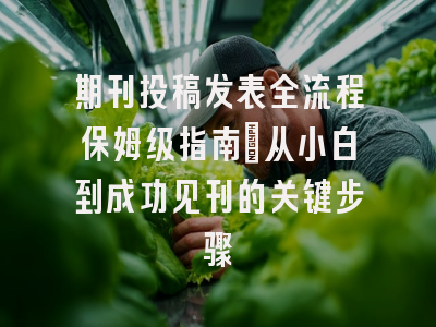 期刊投稿发表全流程保姆级指南：从小白到成功见刊的关键步骤