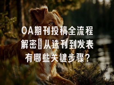 OA期刊投稿全流程解密：从选刊到发表有哪些关键步骤？