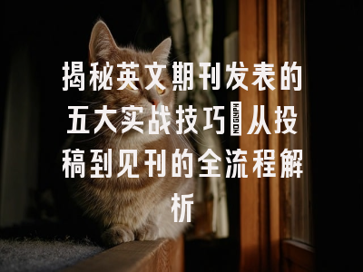 揭秘英文期刊发表的五大实战技巧：从投稿到见刊的全流程解析