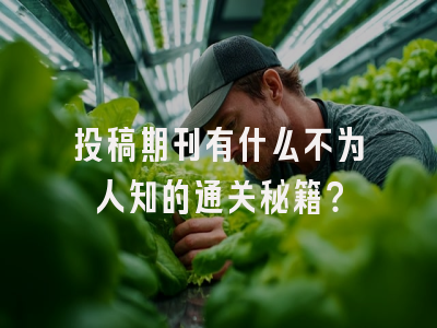 投稿期刊有什么不为人知的通关秘籍？