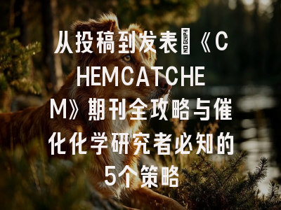 从投稿到发表：《CHEMCATCHEM》期刊全攻略与催化化学研究者必知的5个策略