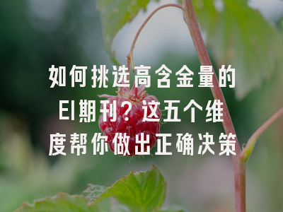 如何挑选高含金量的EI期刊？这五个维度帮你做出正确决策