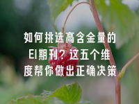 学术会议在线