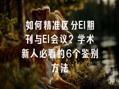 如何精准区分EI期刊与EI会议？学术新人必看的6个鉴别方法