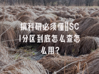 学术会议在线