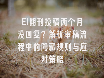 EI期刊投稿两个月没回复？解析审稿流程中的隐藏规则与应对策略